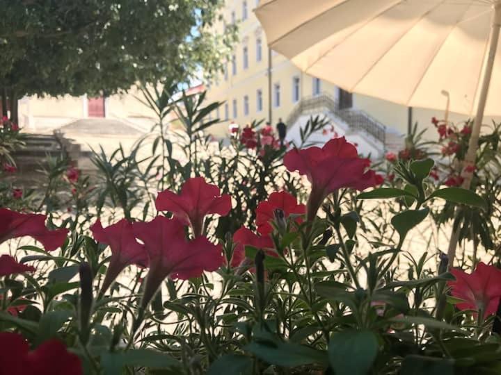 Feel The City Atmosphere Rovinj Exterior photo